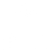 Upsells Symbol, eCommerce Web Design