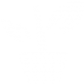 Kick Start Symbol, Web Design Packages