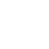 Business Symbol, Web Design Packages