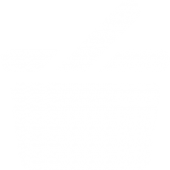 Store Line Symbol, eCommerce Web Design Packages
