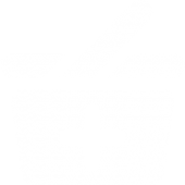Store Line Ultimate Symbol, eCommerce Web Design Packages